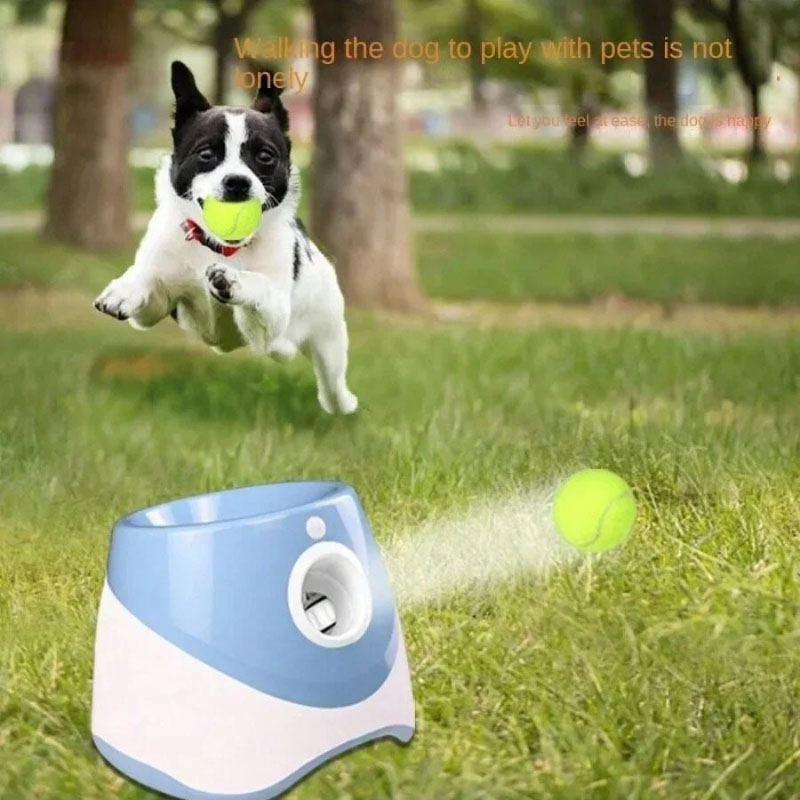 Pelontar Bola Tenis Otomatis u - Catapult Launcher Toy ulasan dan harga